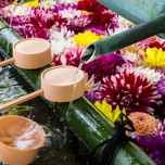 【全国】色とりどりの花が漂う美的スポット。「花手水」がある神社仏閣6選