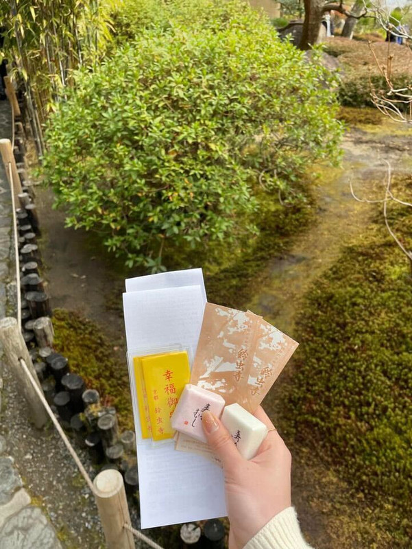 ____ka__zaさんの写真 / 1