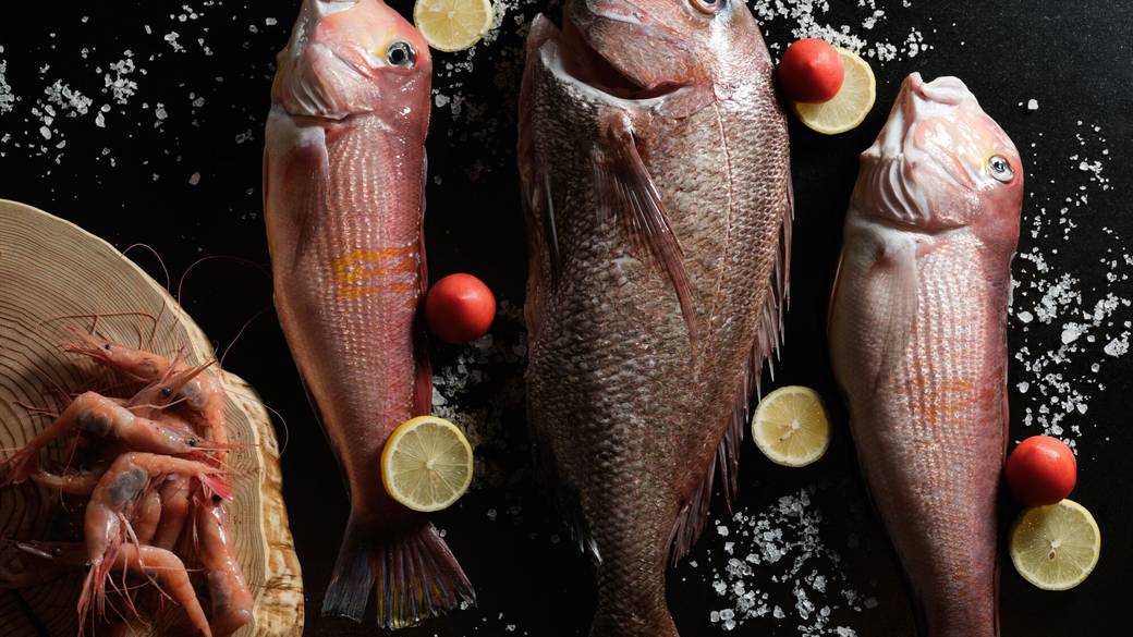 食材 魚 / 3