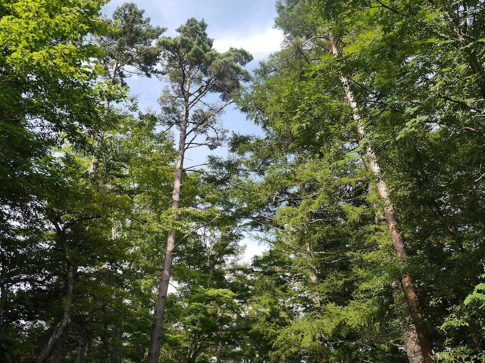 ガーデン ビュー