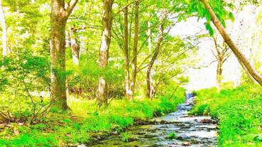 施設の敷地 / 37