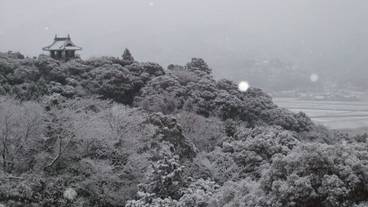 施設からの眺望 / 29