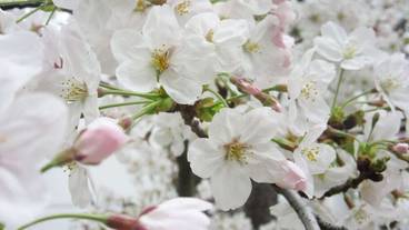 施設からの眺望 / 30