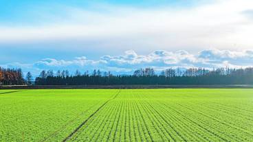 施設の敷地 / 25