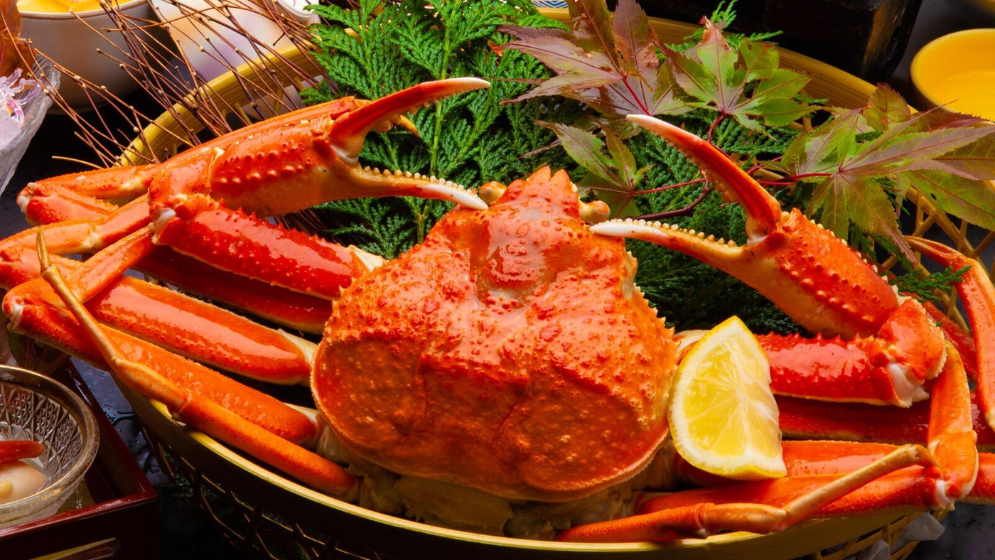 寒いのを我慢しながらも満喫しました