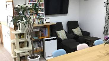 リビング エリア / 14