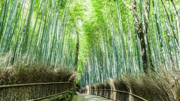 観光スポット / 10