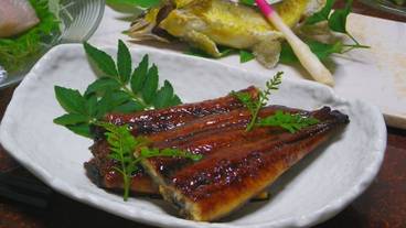 食事・飲み物 / 1