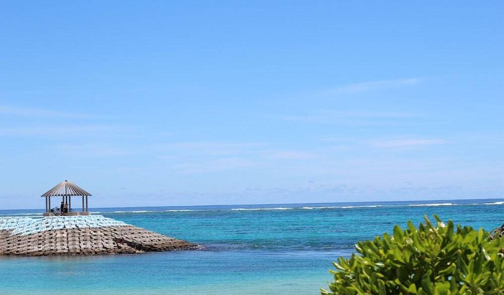 朝から元気に
シュノーケリング / 1