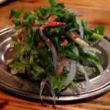 ブロッ＆コリー（ブロッコリー）