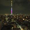 部屋から見える夜のスカイツリーのライトアップです。