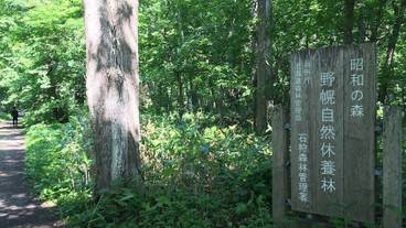 子供向けアクティビティ / 4