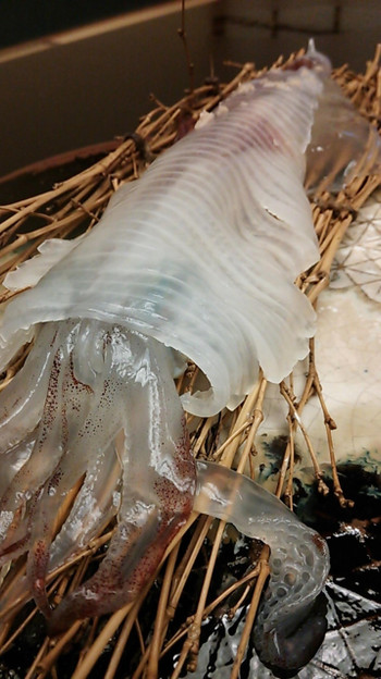 こだわりの「料理宿」で味わい尽くす呼子のイカ4760259