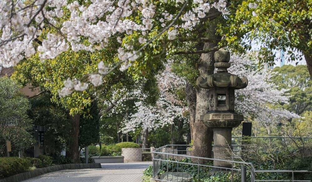 「御殿山庭園」で
心地よい散歩を / 2