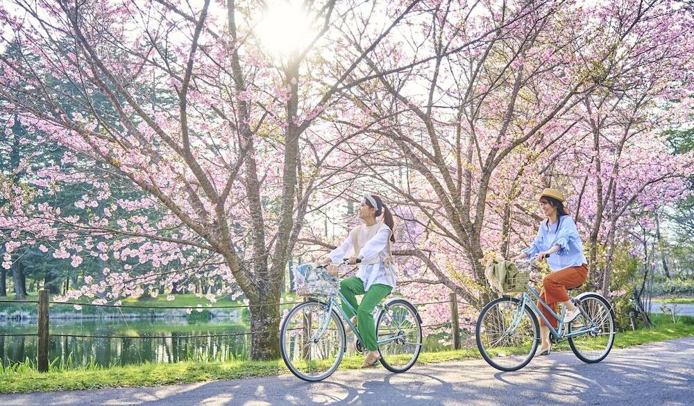 爽やかな風を感じる
朝のサイクリング / 1