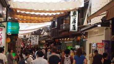 観光スポット / 12