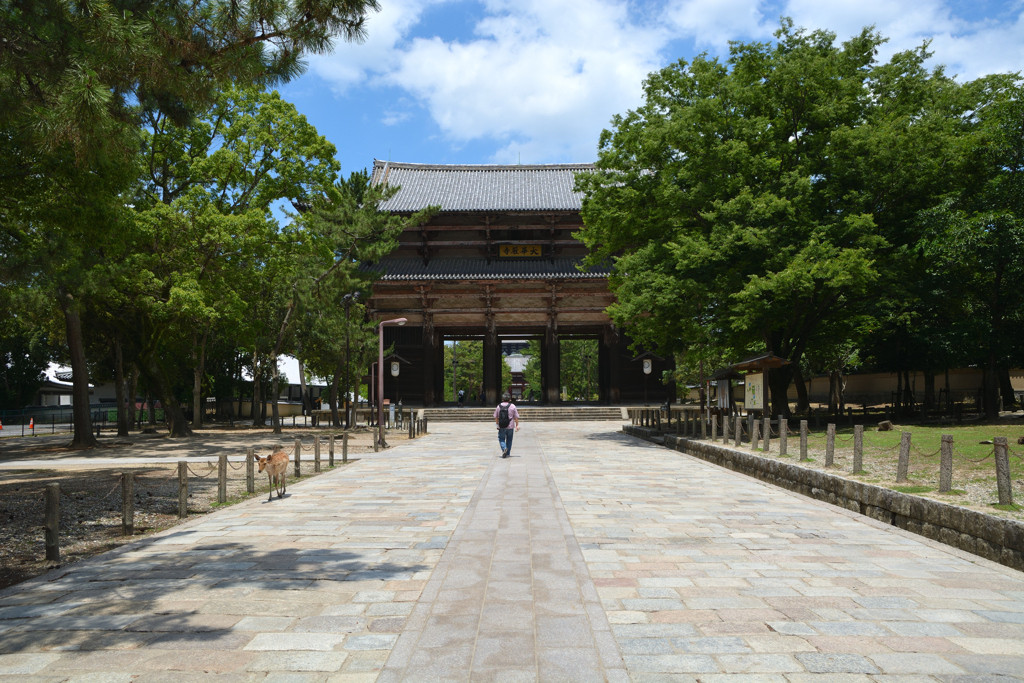 修学旅行生のいない東大寺は貴重！4091213