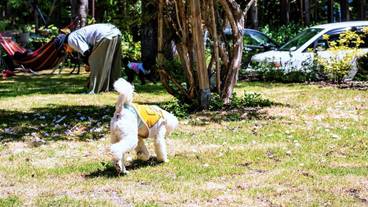 施設の敷地 / 11