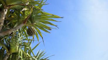 施設からの眺望 / 14