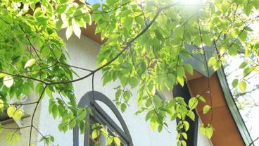 施設からの眺望 / 20