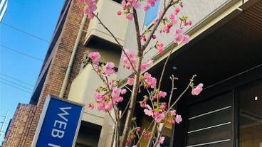 外観 / 2