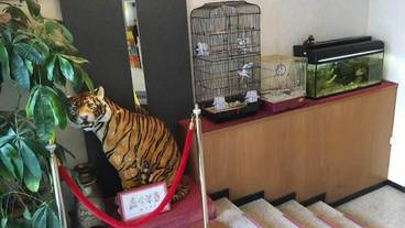 レストラン / 10