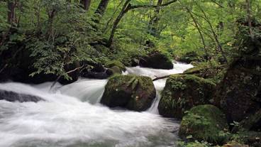 施設からの眺望 / 10