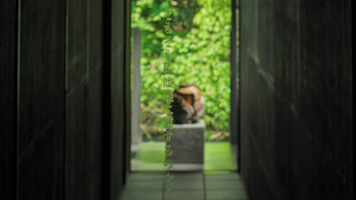 現代アートと伝統の技が織りなす体感型客室(呼風-KOHOO) 禁煙