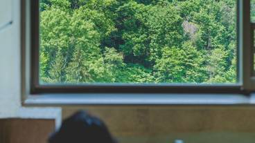 客室風呂③ / 11