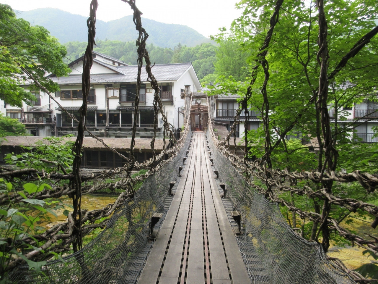 9.ノスタルジックに浸る「湯西川温泉 本家伴久 平家伝承かずら橋の宿」3544345