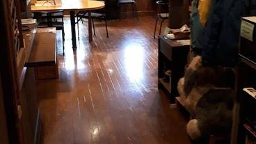 レストラン / 16