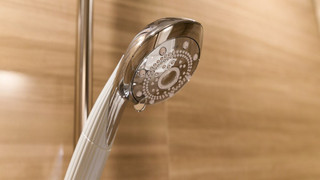 [2023年8月リニューアル] オリエンタル モデレート