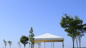 ヨガテラス① / 6