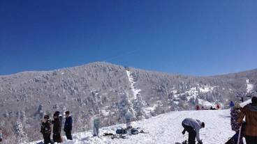 スノー スポーツとスキー / 7