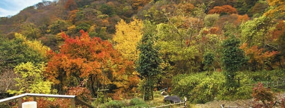 庭園