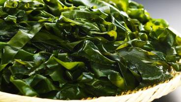 朝食ビュッフェ / 15