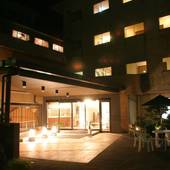 天然温泉の宿 ホテル白岩(大島)(東京都 旅館) / 3