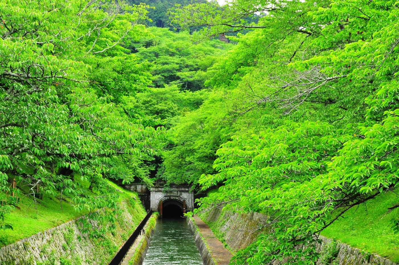 琵琶湖疏水第一トンネルと新緑