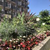 東横イン研究学園駅前（茨城県 ビジネスホテル） / 4