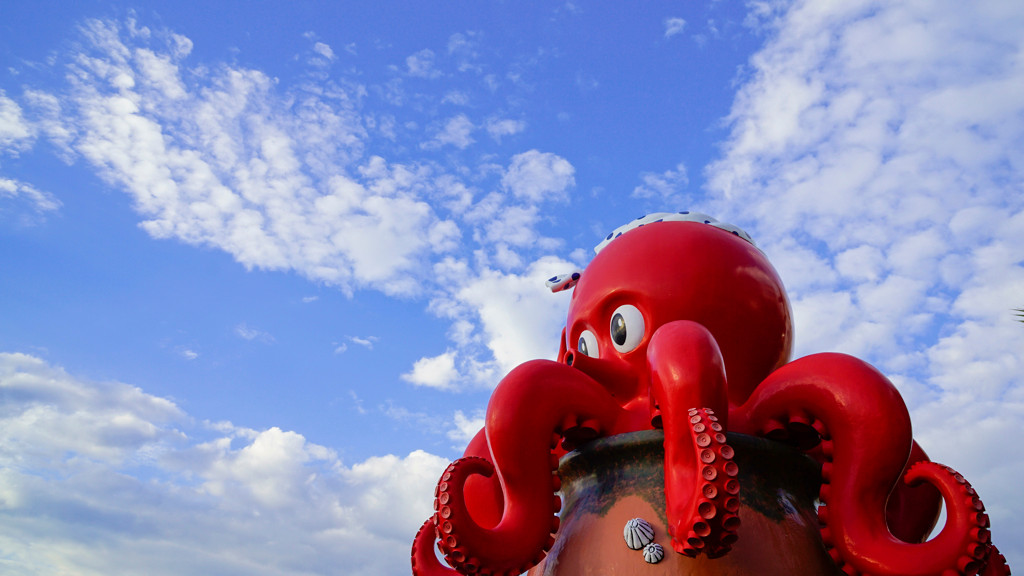 ユニークなタコと癒しの島ネコがお出迎え♪4024049