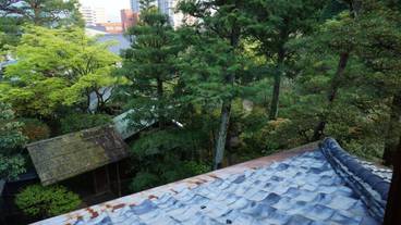 部屋からの景観 / 31