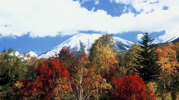 施設の敷地 / 16