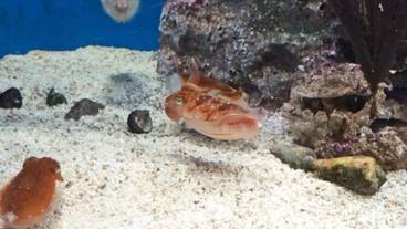 観光スポット / 12