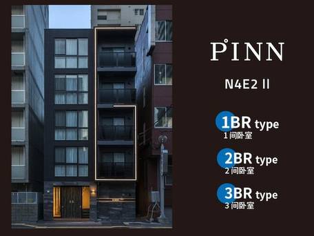 PINN N4E2-II（旧：GLOWL-N4E2II） / 1