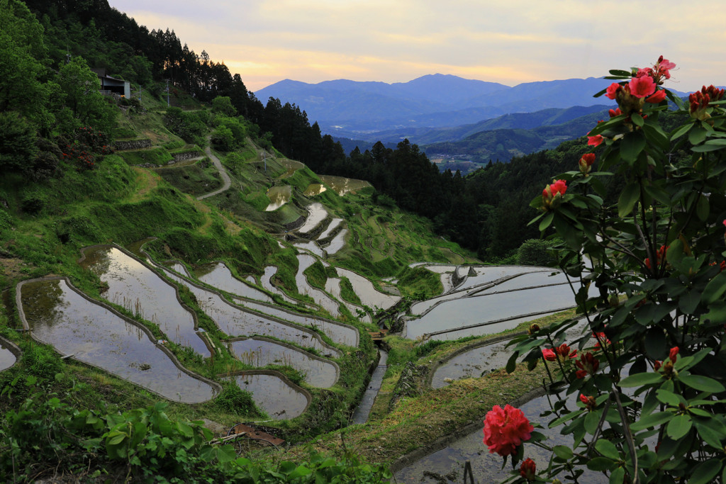 レトロな町「内子町」を気ままにノスタルジック散歩♪3457964