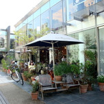 表参道・南青山の骨董通りで楽しむオシャレなカフェ&ランチ