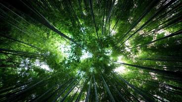 施設の敷地 / 13