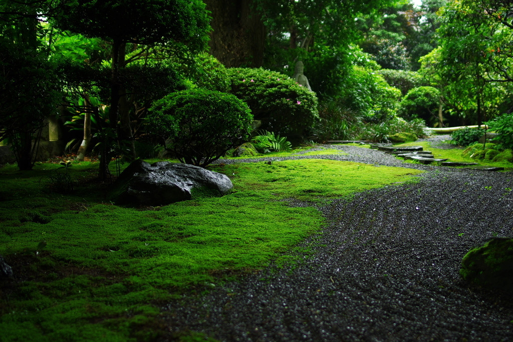 枯山水の庭園も楽しんで1167921