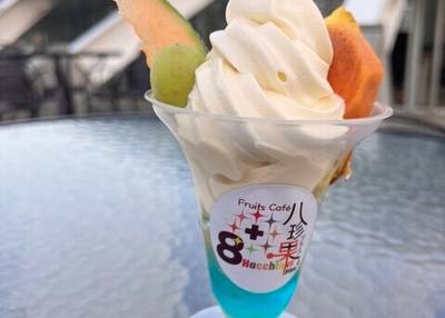 八珍果プラス