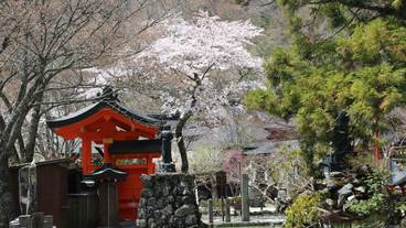 施設からの眺望 / 14